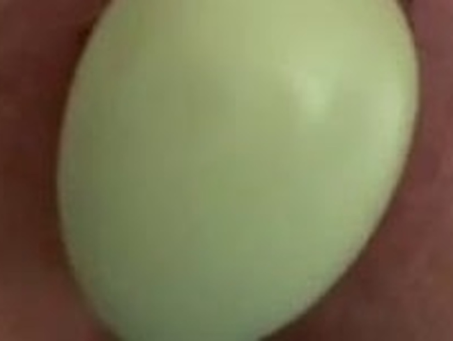 Uovo di Pasqua in ritardo messo nella fica